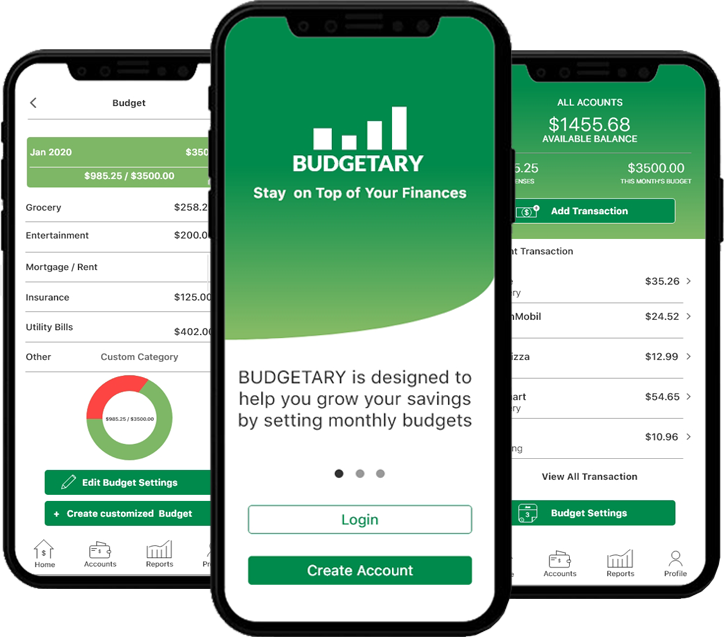 Budgetary project image